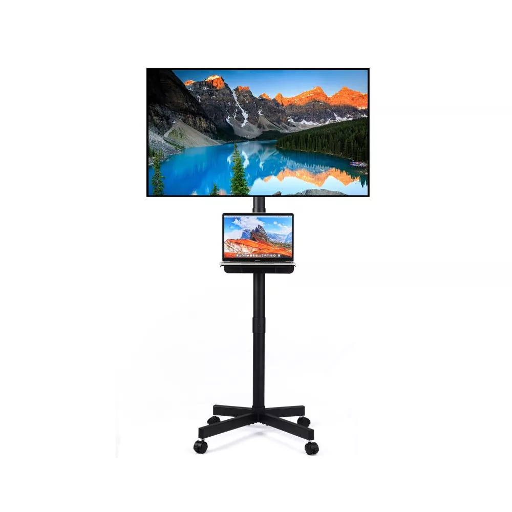 portable tv with stand