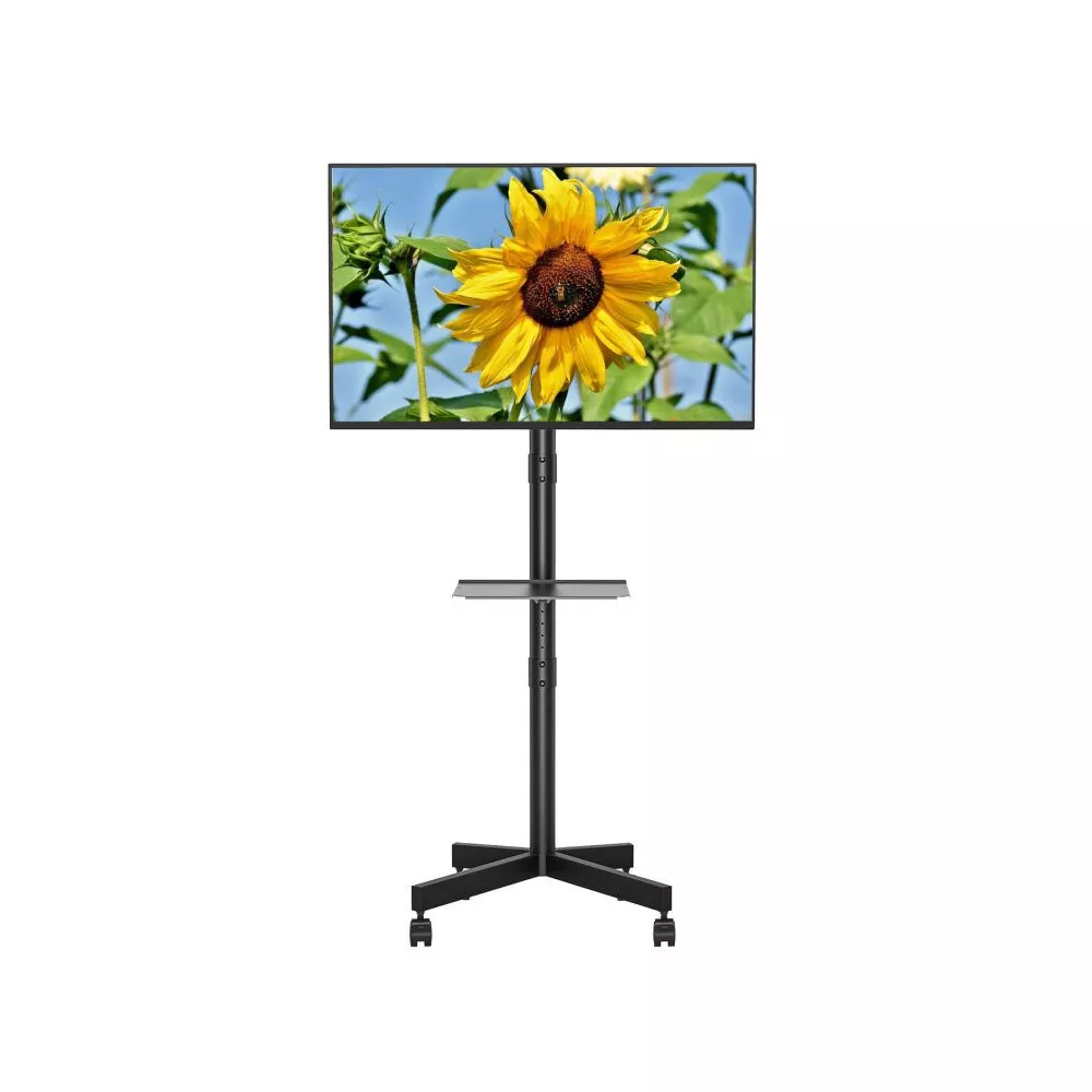 portable tv with stand