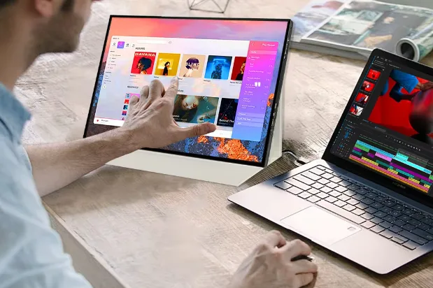 Portable monitors