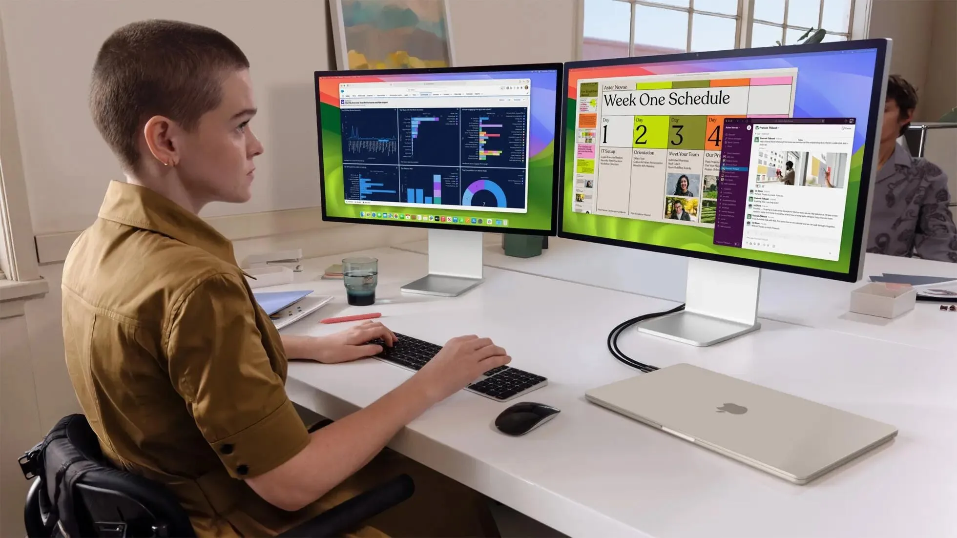 Dual-Screen Monitor