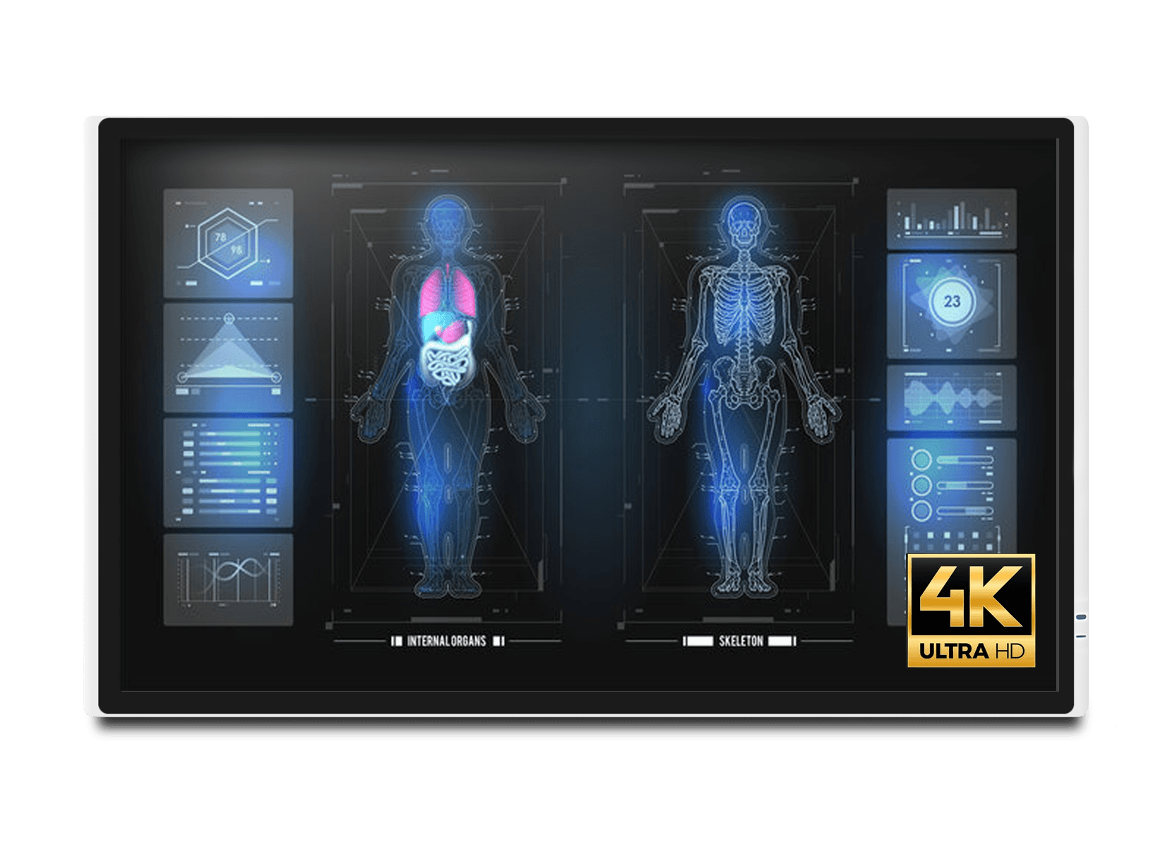 4K medical monitors